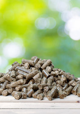 Biomass – pellets  
